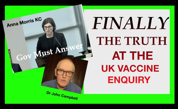 FINALLY - THE TRUTH ABOUT COVID 'VACCINES' COMES OUT AT THE UK HEARING - BUT WILL ANYONE PAY ATTENTION?